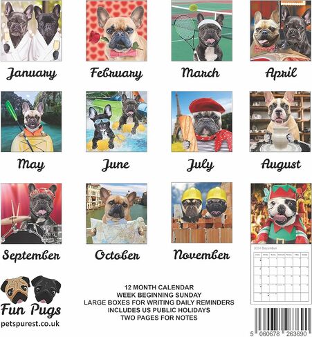 تقويم حائط Fun Dogs 2024 - Frenchies French Bulldog - مخطط عائلي كبير ومنظم يومي مع صور شهرية لطيفة - تصميم نحيف 2024 مخطط حائط وهدية - تقويم ممتع in Kuwait