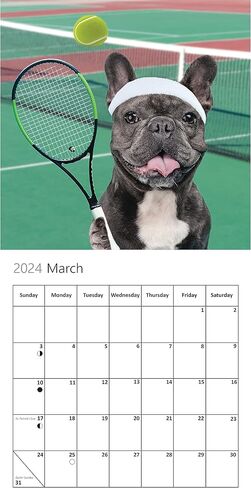 تقويم حائط Fun Dogs 2024 - Frenchies French Bulldog - مخطط عائلي كبير ومنظم يومي مع صور شهرية لطيفة - تصميم نحيف 2024 مخطط حائط وهدية - تقويم ممتع in Kuwait