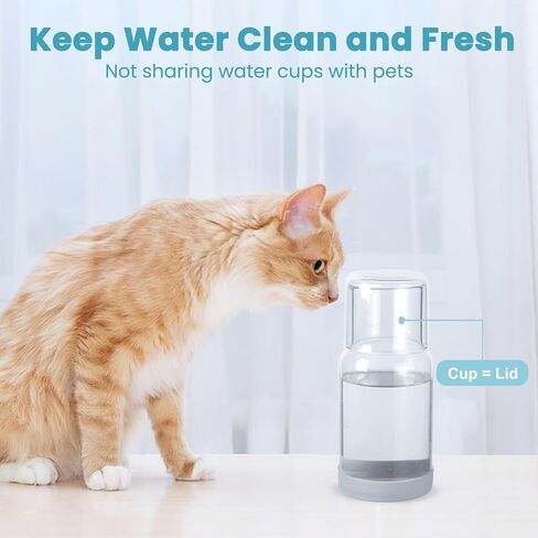 Bedside Water Carafe and Glass Set, Night Bedside Carafe with Silicone Coaster, Water Carafe with Glass Cup for Nightstand Bedroom, Lead-free and Clear Mouthwash Dispenser for Bathroom, 18 OZ in Saudi Arabia