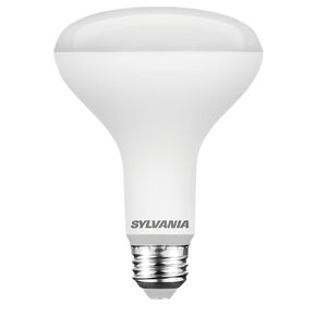 Sylvania Bulb LED BR30 Daylight 65W 42023