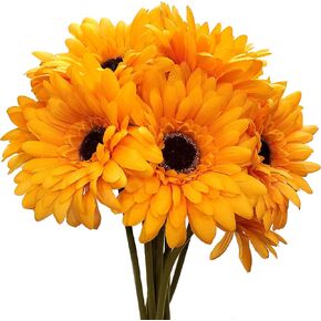CraftMore Blue Colored Gerbera Daisy Stems 14 Inch Set of 12