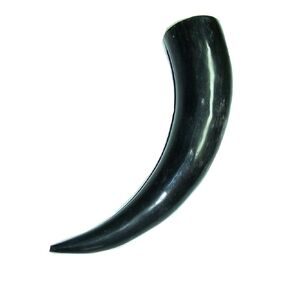 Polished Buffalo Horn - Natural American Bison Horn (10-14 Inches)