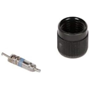 GM Genuine Parts 12597209 Fuel Injection Fuel Pressure Service Kit with Valve and Cap