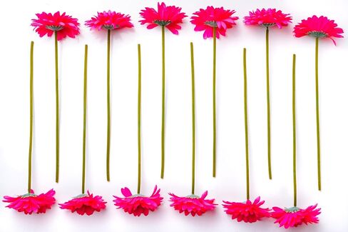 CraftMore Blue Colored Gerbera Daisy Stems 14 Inch Set of 12 in Saudi Arabia