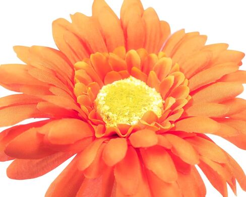 CraftMore Blue Colored Gerbera Daisy Stems 14 Inch Set of 12 in Saudi Arabia