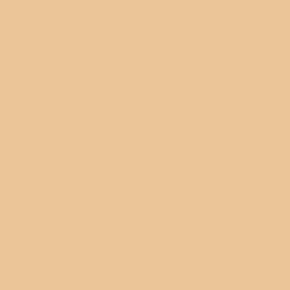 Rosco E Color 206 Quarter CTO Gel Roll