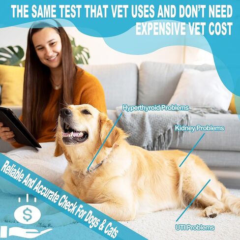 شرائط اختبار البول للكلاب والقطط 10 في 1 للكلاب - مجموعة اختبار UTI للكلاب والقطط 50 قيراط، شرائط اختبار UTI للكلاب والقطط والأطباء البيطريين | سهل الاستخدام لإجراء اختبارات سريعة ودقيقة للمساعدة في إدارة التهابات المسالك البولية وصحة الحيوانات الأليفة في in Kuwait