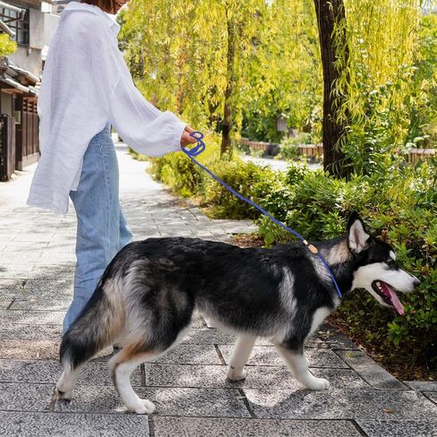 5 Ft Slip Leads Dog Leash No Pull Control Leash for Dogs Leash Rope Pet Leash for Small Medium Large Dogs, No Pull Dog Pet Training Leads, Blue Puppy Training Leads in Saudi Arabia