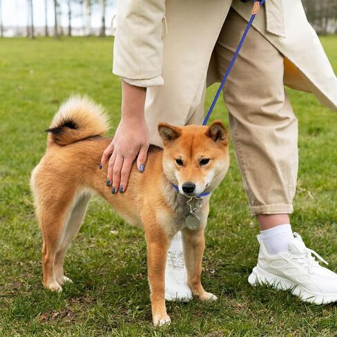 5 Ft Slip Leads Dog Leash No Pull Control Leash for Dogs Leash Rope Pet Leash for Small Medium Large Dogs, No Pull Dog Pet Training Leads, Blue Puppy Training Leads in Saudi Arabia