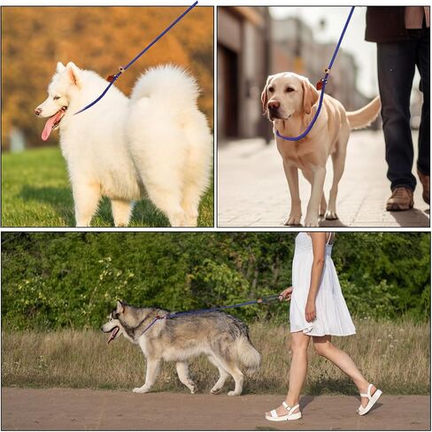 5 Ft Slip Leads Dog Leash No Pull Control Leash for Dogs Leash Rope Pet Leash for Small Medium Large Dogs, No Pull Dog Pet Training Leads, Blue Puppy Training Leads in Saudi Arabia