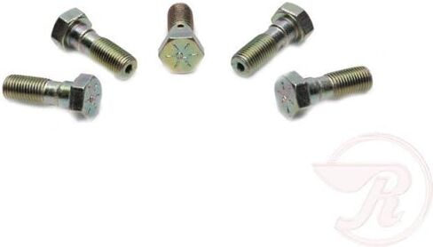 Raybestos H9503 Banjo Bolt, 1 Pack in Saudi Arabia
