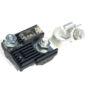 Combo Pack!! New OEM Replacement 150 Amp Fuse p/n 18790-01318 1879001318 w Positive Battery Terminal