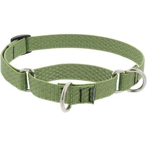 Martingale Dog Collar by Lupine ECO Collection 3/4" Wide Moss adjusts 14" to 20"