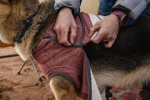 Ruffwear, Hemp Hound Sweater for Dogs, Fired Brick, X-Small in Saudi Arabia