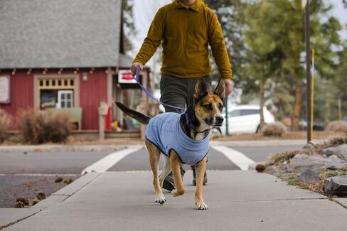 Ruffwear, Hemp Hound Sweater for Dogs, Fired Brick, X-Small in Saudi Arabia