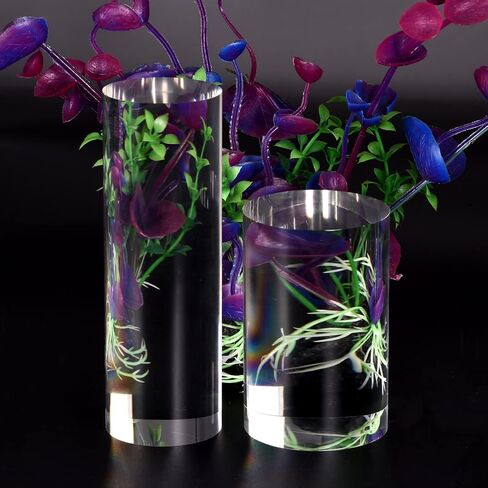 MECCANIXITY Clear Acrylic Solid Cylinder Round Display Riser, 2.4 inches (Height) x 1.6 inches (Diameter), for Showing Your Collectibles, Cosmetics in Saudi Arabia