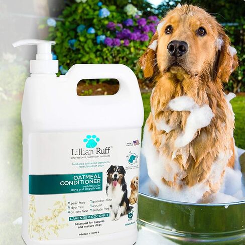 Universal Industrial Dispenser Pump for 1 Gallon Bottles by L'AUTRE PEAU - 38/400 | 12" Height | 5-7 CC Per Stroke | Pump Sanitizer, Lotion, Shampoo, Conditioner | For Standard & F-Style Jugs (6 Pack) in Kuwait