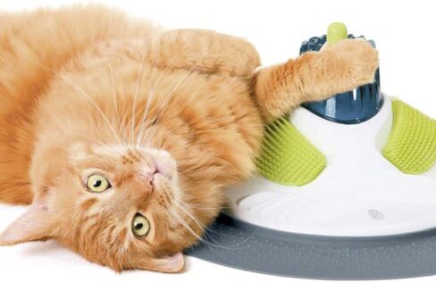 مركز كاتيت ديزاين سينسيز للتدليك in Kuwait