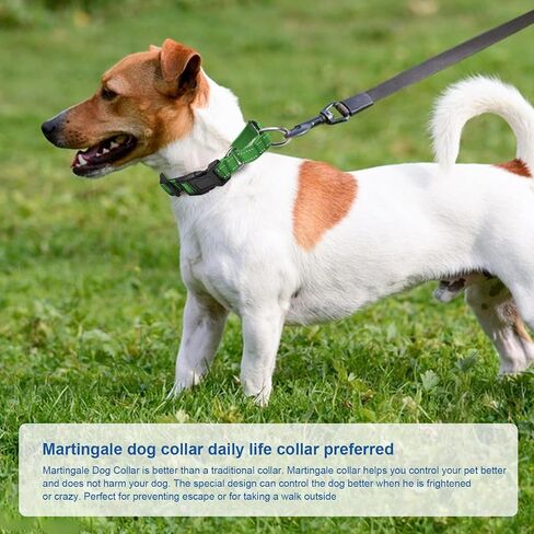 Reflective Martingale Dog Collars. Dog Collar with Quick Release Buckle. Adjustable Soft Padded Breathable Nylon Pet Collar Suitable for Puppies for Small Medium Large Dogs. in Saudi Arabia