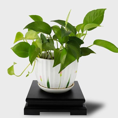 Wooden Display Stand Square Wood Display Base Vintage Vase Stand Handicraft Decoration Display Stand for Plant Pedestal Table Home Decoration Household in Saudi Arabia