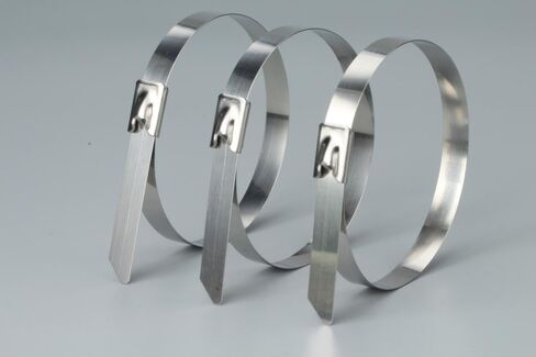 ربطات عنق معدنية بسحاب 11.8 بوصة (300 مم) 100 قطعة 304 ربطات عنق من الفولاذ المقاوم للصدأ شديدة التحمل متعددة الأغراض ذاتية القفل للآلات والمركبات ولفائف العادم والمزارع والأنابيب والأسقف والكابلات والسياج الخارجي in Kuwait