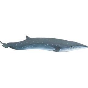 Safari Ltd. Sei Whale Figurine - Realistic 7.75" Plastic Whale Figure - Educational Ocean Animal Toy for Boys, Girls and Kids Ages 3+