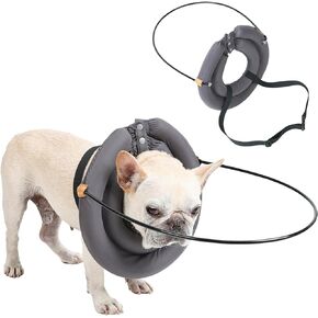 HDKUW Blind Dog Harness Guiding Device, Lightweight Collar for Blind Dog, Adjustable Blind Cat Accessories, Pet Anti-Collision Ring for Protective&Build Confidence S