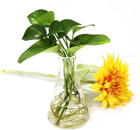 مزهريات زجاجية ضيقة الفم من ULAB، 17 أونصة 500 مل، مزهريات منزلية للديكور، بدون تخرج، عبوة من 4 قطع، UEF1030 in Kuwait