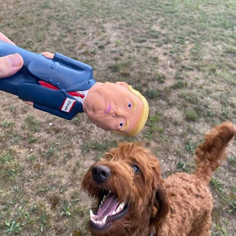 Donald Trump Squeaky Dog Toy - Crazy Realistic & Funny - Natural Rubber (Latex) 8.5" Tall - Small, Medium & Large Dogs - Durable & Interactive Play Toy in Saudi Arabia