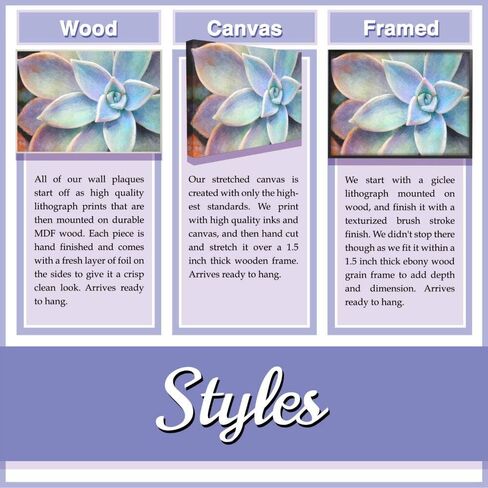 لوحات Stupell Industries Succulent Blooms باللون الأخضر والأصفر، صممتها Jeanette Vertentes Wall Art، 3 قطع، كل منها 12 × 12، مؤطرة باللون الأسود in Kuwait