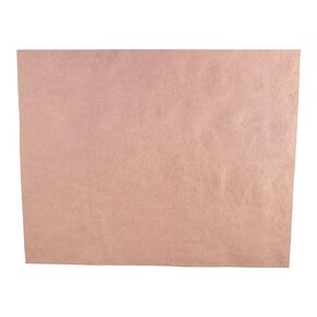 Red Litmus Test Paper 8x10 Inch Sheet [Pack of 24]