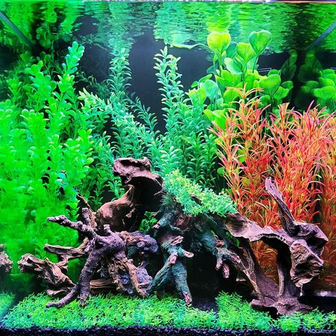 Artificial Natural Aquarium Plant Decoration 2pk Bundles. 15 Styles. Extra Large, 22.5in - 26in Tall. Weighted Base. Safe for All Types of Fish. (Natural #1-2pk) in Saudi Arabia