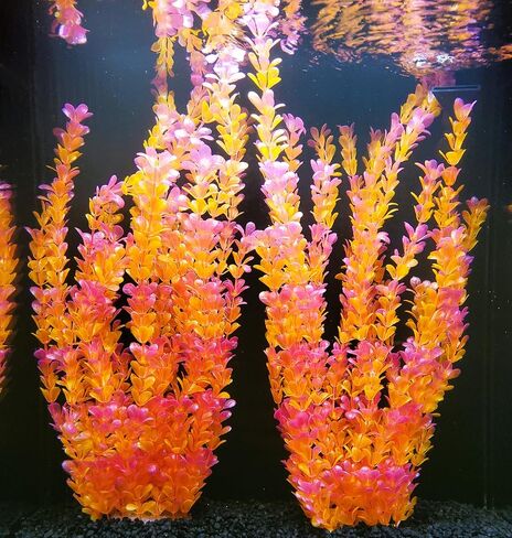 Artificial Natural Aquarium Plant Decoration 2pk Bundles. 15 Styles. Extra Large, 22.5in - 26in Tall. Weighted Base. Safe for All Types of Fish. (Natural #1-2pk) in Saudi Arabia