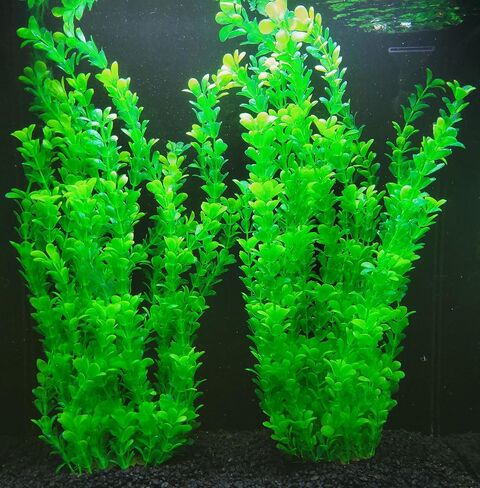 Artificial Natural Aquarium Plant Decoration 2pk Bundles. 15 Styles. Extra Large, 22.5in - 26in Tall. Weighted Base. Safe for All Types of Fish. (Natural #1-2pk) in Saudi Arabia