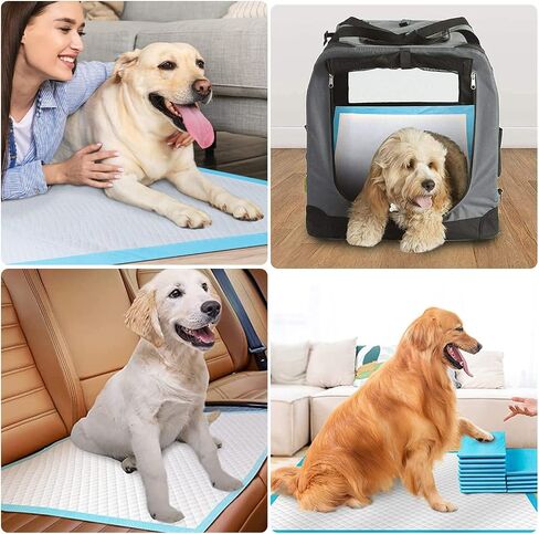 Dog and Puppy Training Pads, Potty Pads, Dog Pads Diapers Leak-Proof 6-Layer Pee Pads with Thicker Materials with Quick-Dry Surface for Potty Training, blue, 20 PACK- XL (23.6 x 35.4 inch) in Saudi Arabia