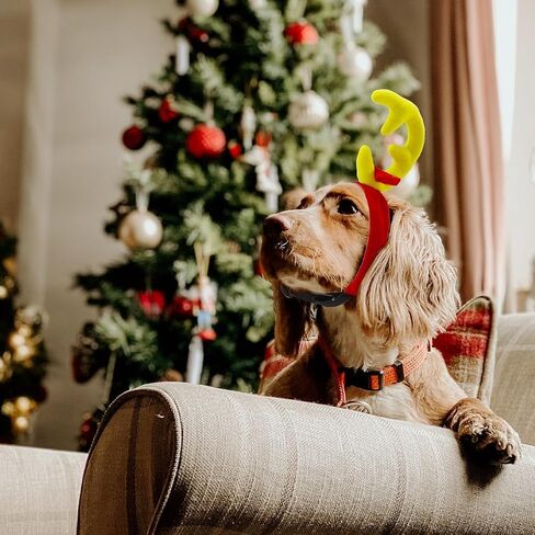 Reindeer Antlers Headband Dog Christmas Costume Dog Halloween Costume(Yellow Red, Reindeer-S) in Saudi Arabia