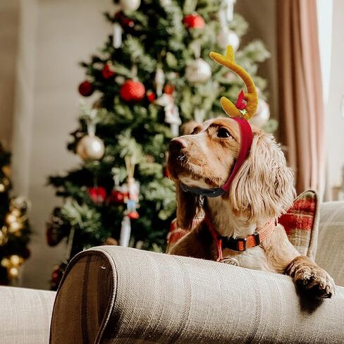 Reindeer Antlers Headband Dog Christmas Costume Dog Halloween Costume(Yellow Red, Reindeer-S) in Saudi Arabia