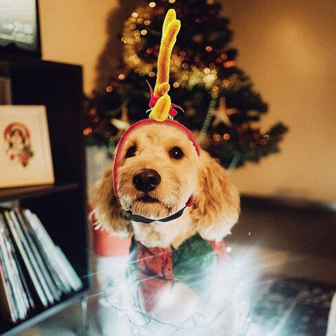 Reindeer Antlers Headband Dog Christmas Costume Dog Halloween Costume(Yellow Red, Reindeer-S) in Saudi Arabia