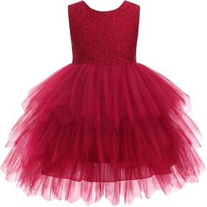 OBEEII Flower Girl Dress Toddler Baby Girl Sleeveless V Back Lace Tiered Princess Tulle Dress Birthday Pageant Party Dress