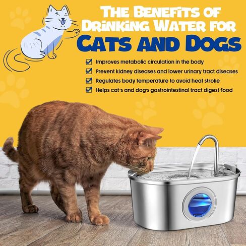 2 Pack 108 Oz/ 3.2 L Cat Water Fountain Stainless Steel with 8 Carbon and Pump Filters Automatic Dog Drinking Water Dispenser with Water Level Window for Multi Pet in Saudi Arabia