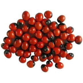 Red Chirmi Beads Gunja for Wealth and Prosperity Hindu Religion Goddess Laxmi Pooja Item (25 Pcs)