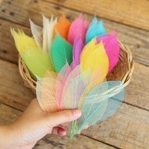 100 Pcs Mixed Colors 4-5 Inches Skeleton Leaves Rubber Tree Natural Scrapbook Craft, Card Wedding, DIY Crafts, Artificial Leaves. (Mixed Colors)