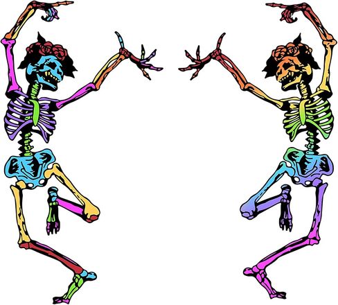 Skeleton Skull Stickers Trippy Grateful Steal Your face Rock Band Dancing Halloween Car Decals bumper stickers Laptop Windows Truck. Pack of 2 Dancing Skeletons Vinyls 6 inch. Hippie Rainbow Skeleton. in Saudi Arabia