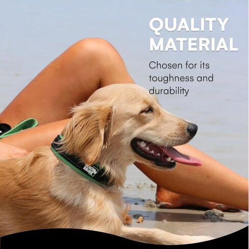 Black Rhino - The Comfort Collar Ultra Soft Neoprene Padded Dog Collar for All Breeds, Dog Collars for Large Dogs - Heavy Duty Adjustable Reflective Weatherproof (Small, Aqua/Grey) in Kuwait