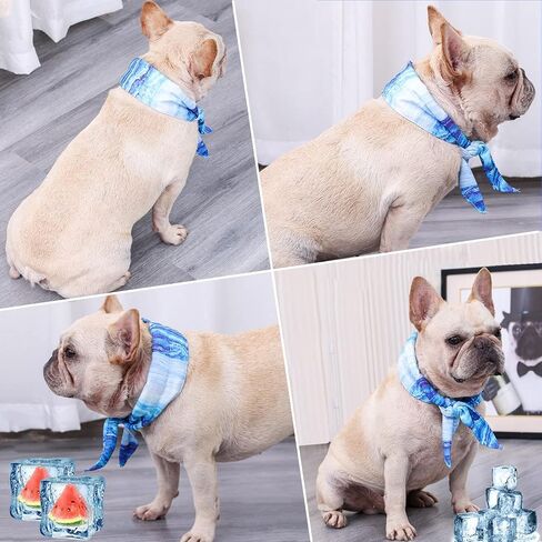 الكلب التبريد باندانا الكلب لحظة التبريد باندانا تنفس كلب طوق التبريد للكلاب، الكلب الجليد باندانا لحظة التبريد الحيوانات الأليفة باندانا الكلب منشفة التبريد الكلب القط طوق الجليد لفصل الصيف in Kuwait