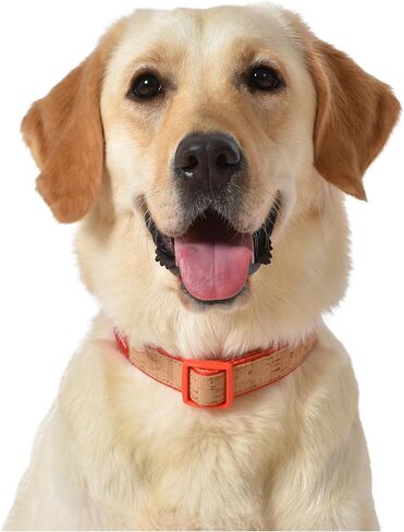 The Dodo Cork Dog Collar, Red Dodo Print, Size Small; Cork Material Collar for Dogs, Everyday Pet Apparel; Adjustable Snap Together, Pinch Release Buckle Collar in Saudi Arabia