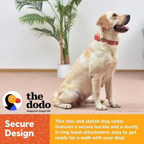 The Dodo Cork Dog Collar, Red Dodo Print, Size Small; Cork Material Collar for Dogs, Everyday Pet Apparel; Adjustable Snap Together, Pinch Release Buckle Collar in Saudi Arabia