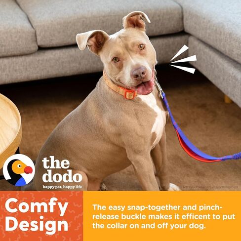 The Dodo Cork Dog Collar, Red Dodo Print, Size Small; Cork Material Collar for Dogs, Everyday Pet Apparel; Adjustable Snap Together, Pinch Release Buckle Collar in Saudi Arabia