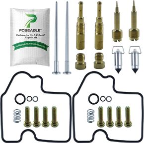 2 PACK Carburetor Carb Repair Rebuild Kit for Arctic Cat 650 4x4 V2 Automatic and 4x4 V2 LE Automatic 2004-2006
