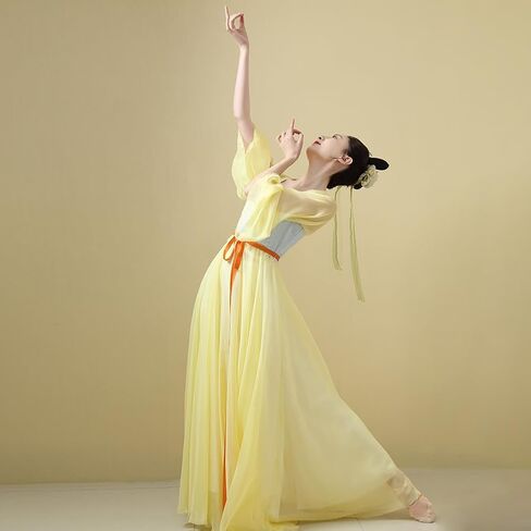 Chinese Hanfu Costume Tang Dynasty for Women Classical Dance Costume Dance Skirts Embroidery Top Chinese Style Clothes in Saudi Arabia